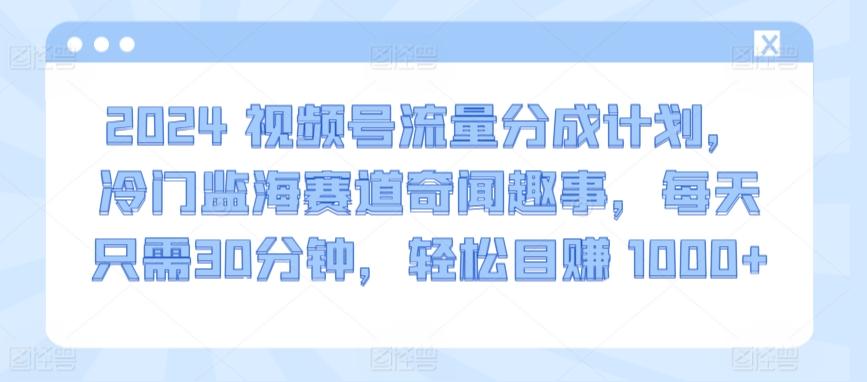 2024视频号流量分成计划，冷门监海赛道奇闻趣事，每天只需30分钟，轻松目赚 1000+【揭秘】-鑫梵淘