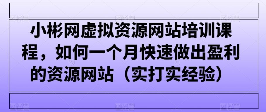 小彬网虚拟资源网站培训课程，如何一个月快速做出盈利的资源网站(实打实经验)-鑫梵淘
