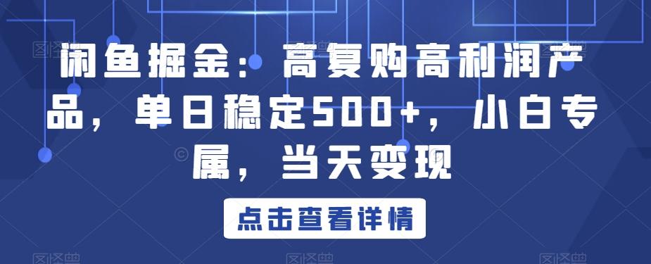 闲鱼掘金：高复购高利润产品，单日稳定500+，小白专属，当天变现-鑫梵淘