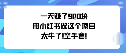 一天挣了9张用小红书做这个项目太牛了，空手套-鑫梵淘