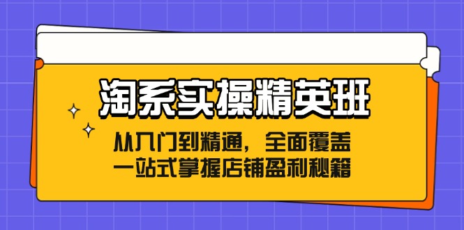 淘系实操精英班：从入门到精通，全面覆盖，一站式掌握店铺盈利秘籍-鑫梵淘