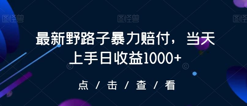 最新野路子暴力赔付，当天上手日收益1000+【仅揭秘】-鑫梵淘