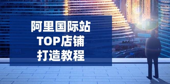 （14269期）阿里国际站TOP店铺打造教程：涵盖平台到高阶，解决运营难题，提升询盘-鑫梵淘