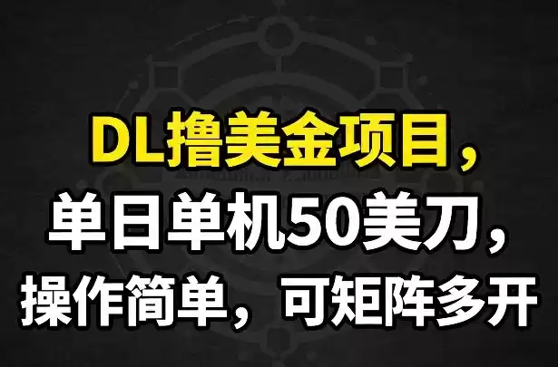 DL撸美金项目，单日单机50美刀，操作简单，可矩阵多开-鑫梵淘