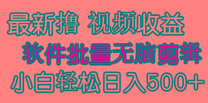 (9569期)发视频撸收益，软件无脑批量剪辑，第一天发第二天就有钱-鑫梵淘