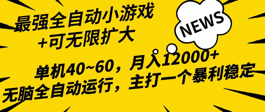 (10046期)2024最新全网独家小游戏全自动，单机40~60,稳定躺赚，小白都能月入过万-鑫梵淘
