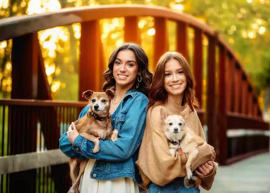 图片[2]-大师级GTG出品-老友记系列AI自适应预设The Friends Preset Collection-鑫梵淘