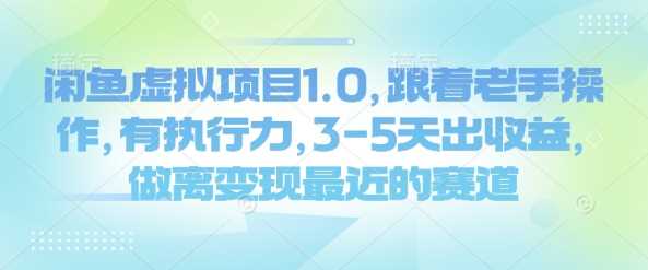 闲鱼虚拟项目1.0，跟着老手操作，有执行力，3-5天出收益，做离变现最近的赛道-鑫梵淘