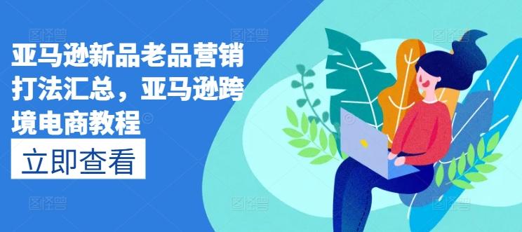 亚马逊新品老品营销打法汇总，亚马逊跨境电商教程-鑫梵淘