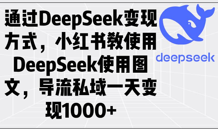 （14179期）通过DeepSeek变现方式，小红书教使用DeepSeek图文，导流私域一天变现1000+-鑫梵淘