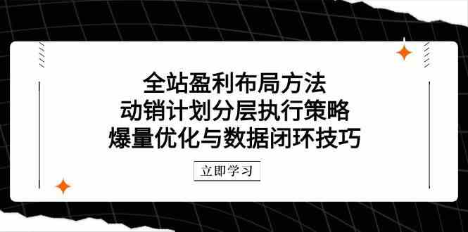 全站盈利布局方法：动销计划分层执行策略，爆量优化与数据闭环技巧-鑫梵淘