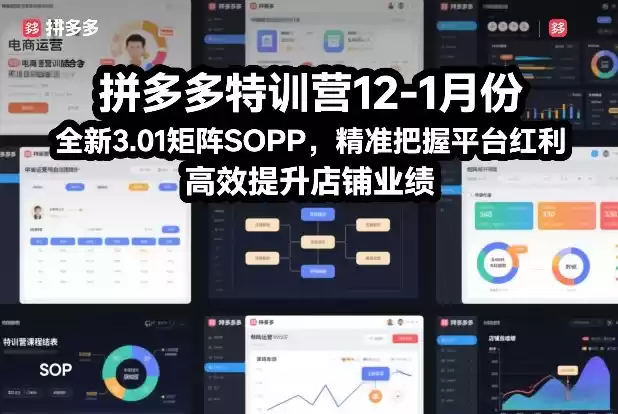 拼多多特训营12-1月份，全新3.01矩阵Sop，精准把握平台红利，高效提升店铺业绩-鑫梵淘