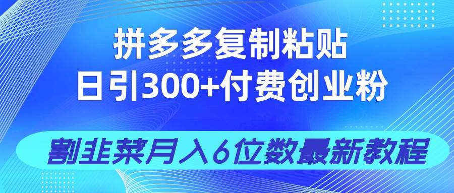（14232期）拼多多复制粘贴日引300+付费创业粉，割韭菜月入6位数最新教程！-鑫梵淘