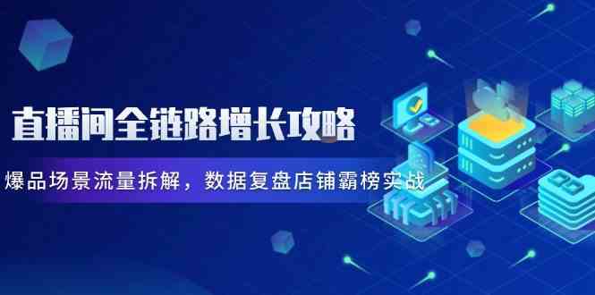 直播间全链路增长攻略，爆品场景流量拆解，数据复盘店铺霸榜实战-鑫梵淘
