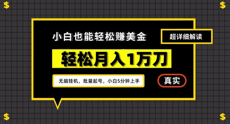 谷歌看广告撸美金2.0，无脑挂机，多号操作，月入1万刀【揭秘】-鑫梵淘