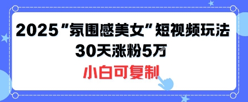 不露脸也能火！2025“氛围感美女”短视频玩法，30天涨粉5W小白可复制-鑫梵淘