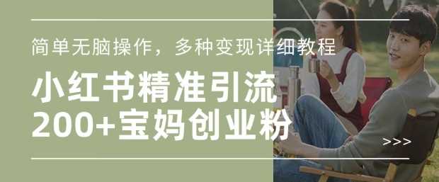 小红书混剪日引200+宝妈创业粉，简单无脑操作，多种变现详细教程-鑫梵淘