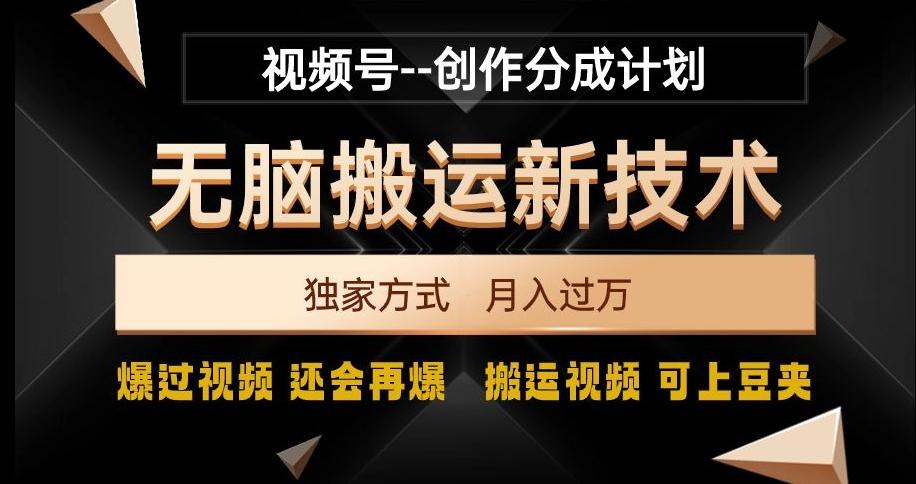 视频号无脑搬运新技术，破原创壕流量，独家方式，爆过视频，还会再爆【揭秘】-鑫梵淘