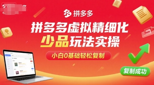 拼多多虚拟精细化少品玩法实操，小白0基础轻松复制-鑫梵淘