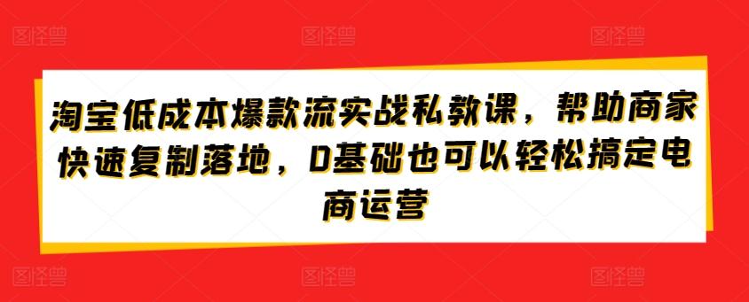 淘宝低成本爆款流实战私教课，帮助商家快速复制落地，0基础也可以轻松搞定电商运营-鑫梵淘