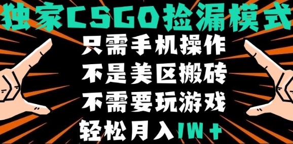 CSGO自动捡漏项目，最新独家玩法，不是美区搬砖，不需要了解和玩游戏，新手小白轻松月入1W+【揭秘】-鑫梵淘