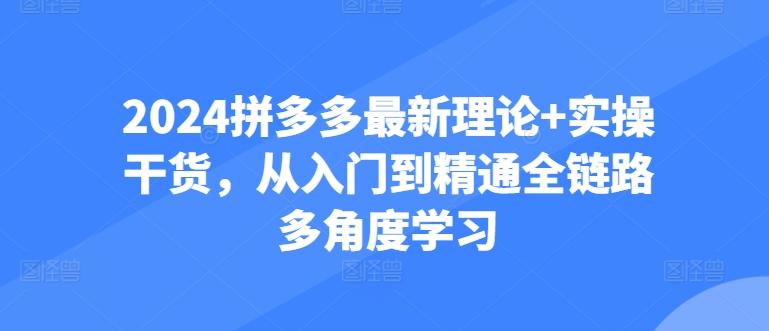 2024拼多多最新理论+实操干货，从入门到精通全链路多角度学习-鑫梵淘