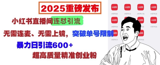 2025重磅发布：小红书直播间连怼引流，无需连麦、无需上镜，突破单号限制，暴力日引流600+-鑫趣淘
