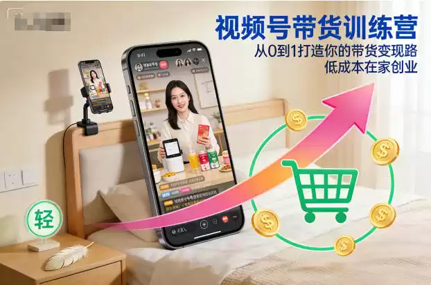 视频号带货训练营，从0到1打造你的带货变现路，低成本在家创业-鑫梵淘