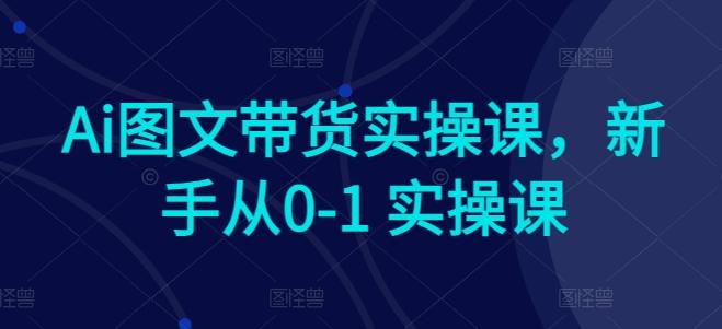 Ai图文带货实操课，新手从0-1 实操课-鑫梵淘