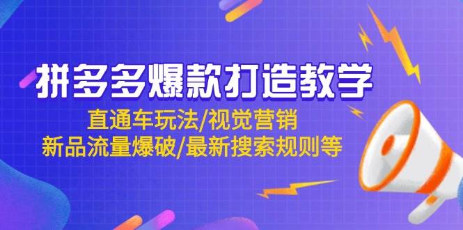 （14681期）拼多多爆款打造教学：直通车玩法/视觉营销/新品流量爆破/最新搜索规则等-鑫梵淘