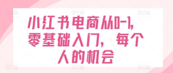 小红书电商从0-1，零基础入门，每个人的机会-鑫梵淘