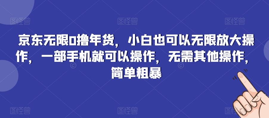 京东无限0撸年货，小白也可以无限放大操作，一部手机就可以操作，无需其他操作，简单粗暴-鑫梵淘