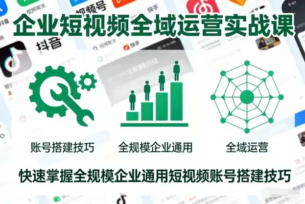 企业短视频全域运营实战课，快速掌握全规模企业通用短视频账号搭建技巧-鑫梵淘