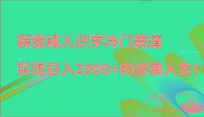 探索成人识字冷门赛道，实现日入2000+的逆袭人生！-鑫梵淘