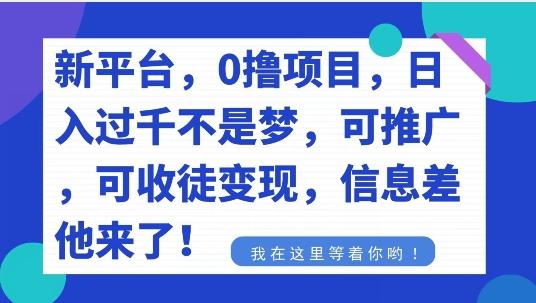 不要再花冤枉钱了，0撸项目，每天坚持，稳定1000+-鑫梵淘