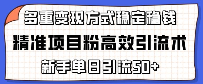精准项目粉高效引流术，新手单日引流50+，多重变现方式稳定赚钱【揭秘】-鑫梵淘