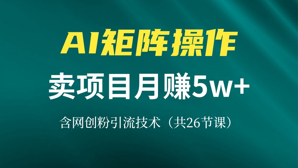 网创IP打造课，借助AI卖项目月赚5万+，含引流技术(共26节课-鑫梵淘