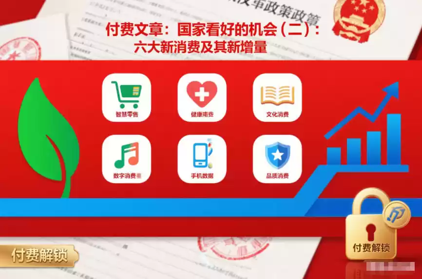 付费文章：国家看好的机会(二)：六大新消费及其新增量-鑫梵淘