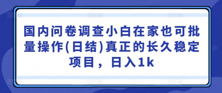 国内问卷调查小白在家也可批量操作(日结)真正的长久稳定项目，日入1k【揭秘】-鑫梵淘