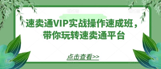 速卖通VIP实战操作速成班，带你玩转速卖通平台-鑫梵淘