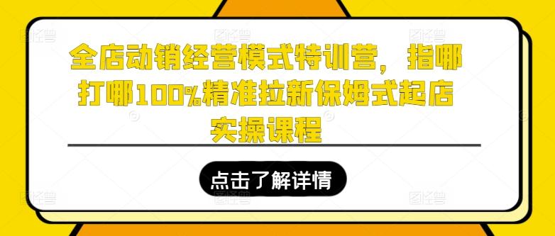 全店动销经营模式特训营，指哪打哪100%精准拉新保姆式起店实操课程-鑫梵淘