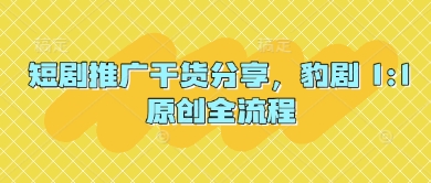 短剧推广干货分享，豹剧 1:1原创全流程-鑫梵淘