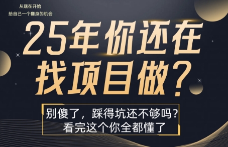 25年，你还在疯狂的找项目吗？别傻了，看完这个你都懂了【揭秘】-鑫梵淘