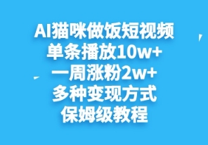 AI猫咪做饭短视频，单条播放10w+，一周涨分2w+，多种变现方式，保姆级教程-鑫梵淘
