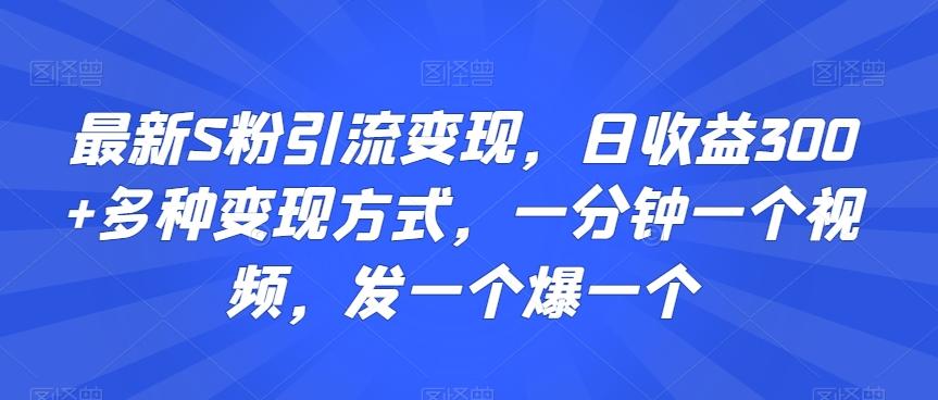 最新S粉引流变现，日收益300+多种变现方式，一分钟一个视频，发一个爆一个【揭秘】-鑫梵淘