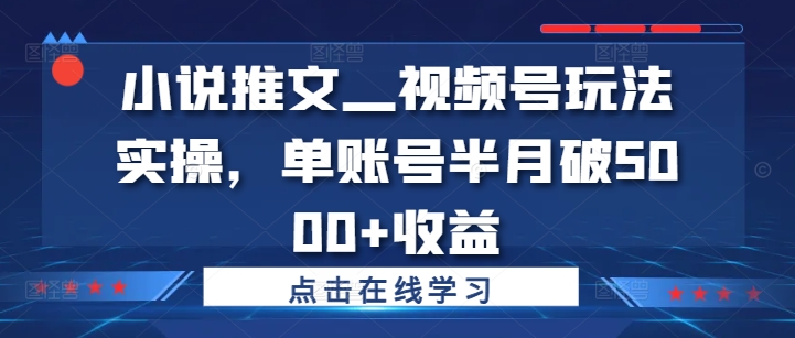 小说推文—视频号玩法实操，单账号半月破5000+收益-鑫梵淘