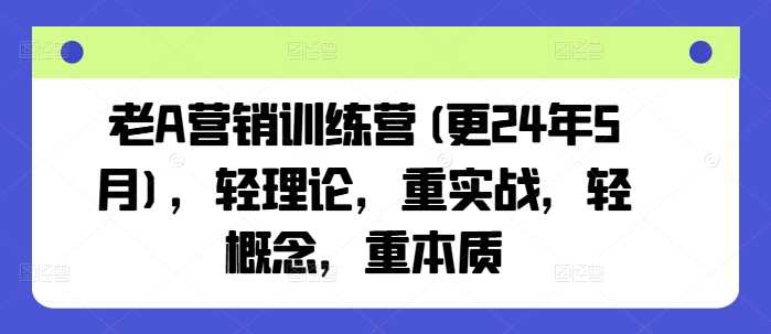 老A营销训练营(更25年3月)，轻理论，重实战，轻概念，重本质-鑫梵淘