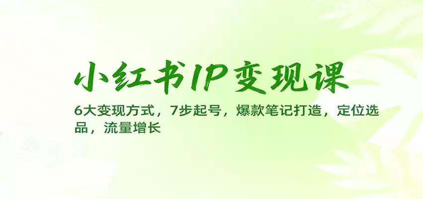小红书IP变现课：6大变现方式，7步起号，爆款笔记打造，定位选品，流量增长-鑫梵淘