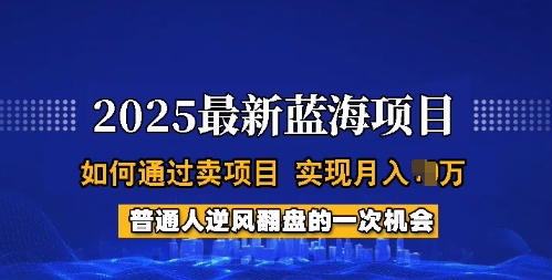 2025蓝海项目，普通人如何通过卖项目，实现月入过W，全过程【揭秘】-鑫梵淘