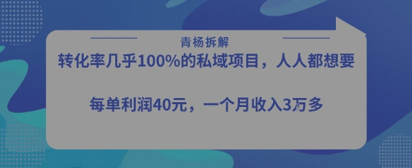 转化率最高的私域项目，每单利润40-50米，月入过1w-鑫梵淘